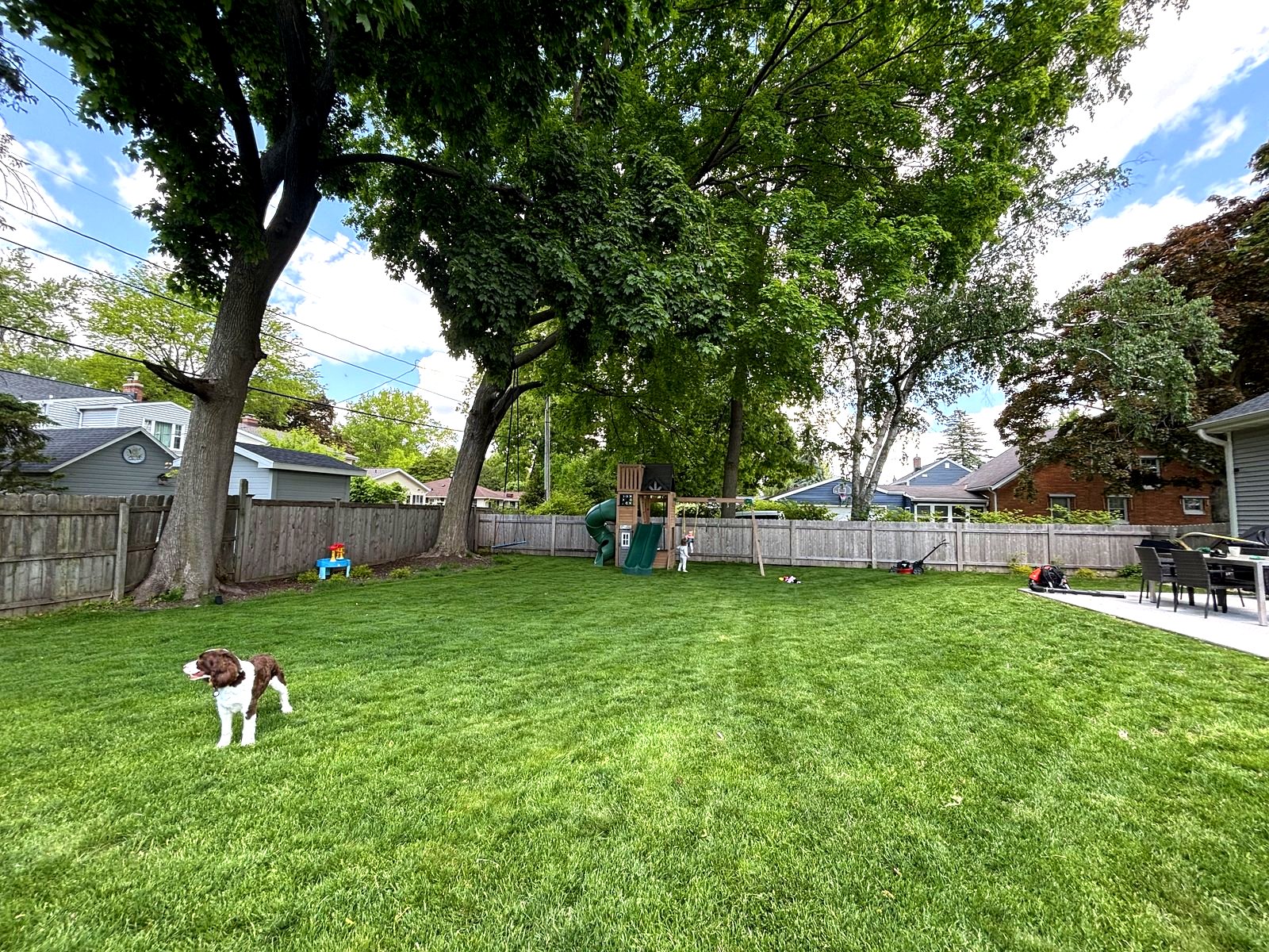 Large fenced backyard